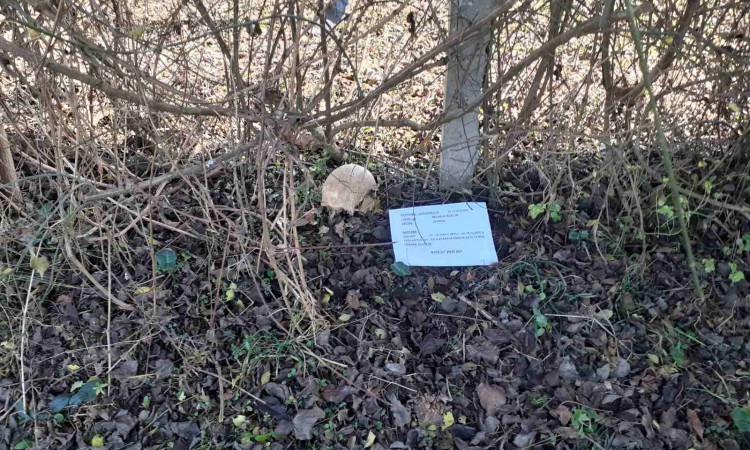 Tokom asanacije terena u Kozluku pronađena ljudska lobanja u šipražju